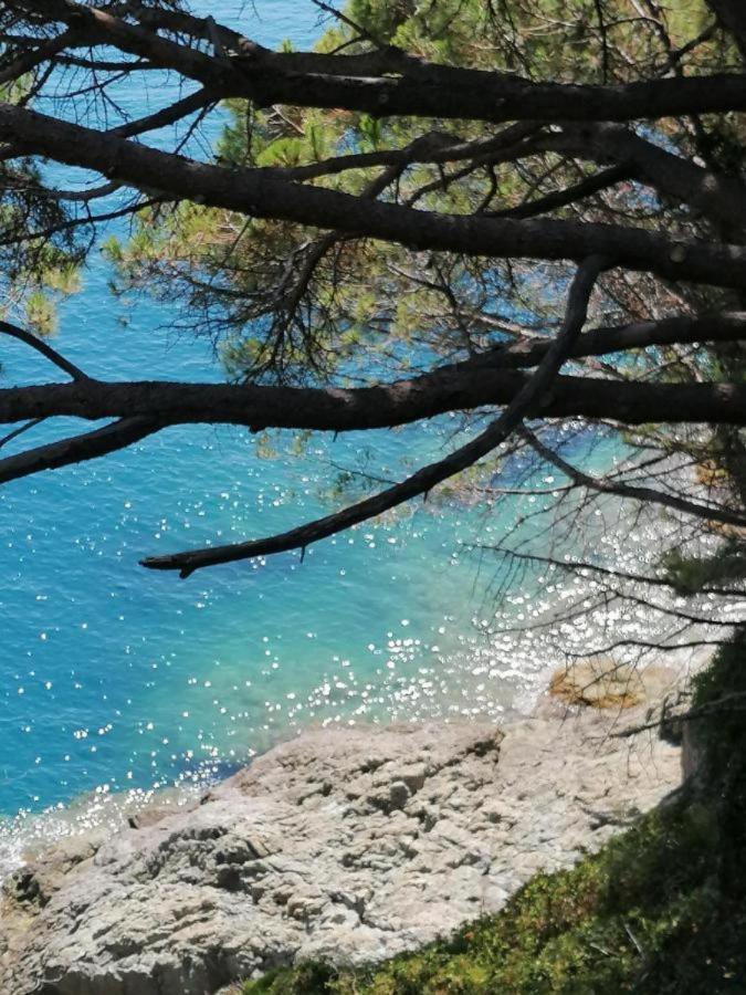 Ca Gianca Lejlighed Riccò del Golfo di Spezia Eksteriør billede